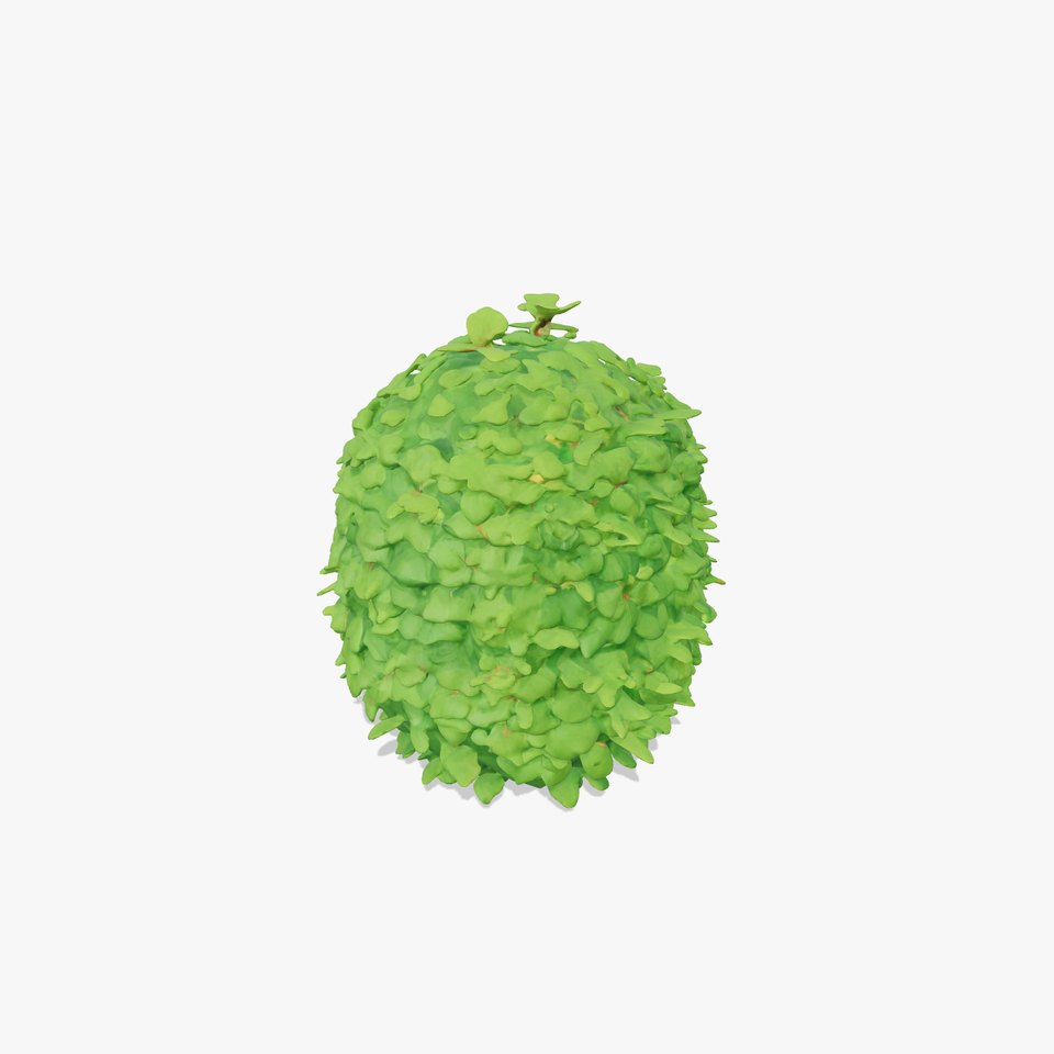 Leafy Bush Sphere model pack